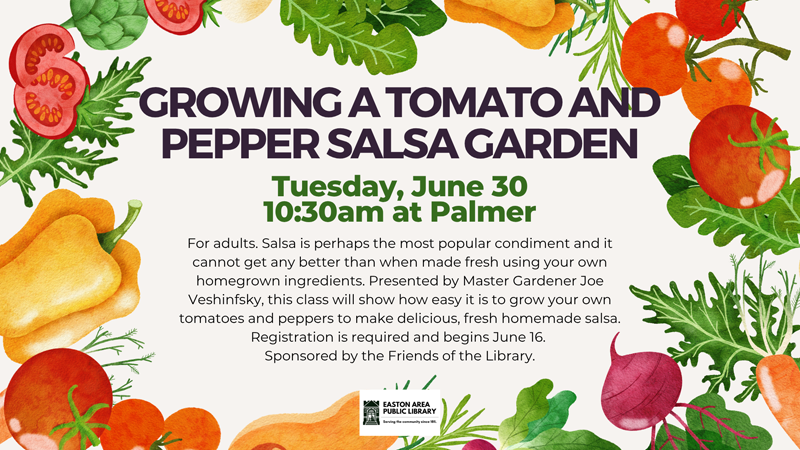 Salsa Salad